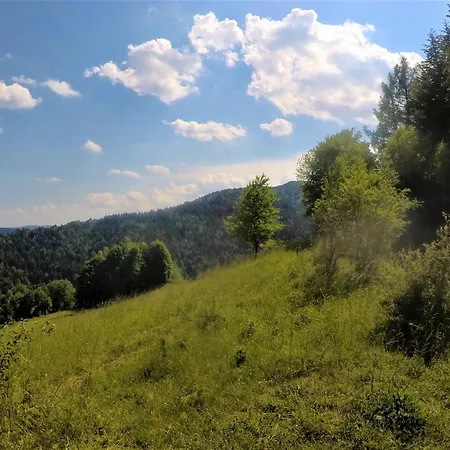 Domek alpejski Dom Z Widokiem Piwniczna-Zdroj