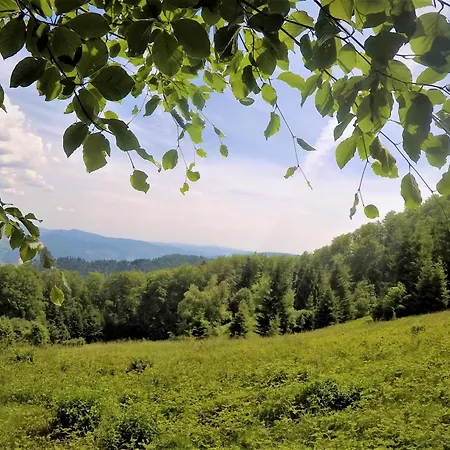 Dom Z Widokiem Alpesi faház