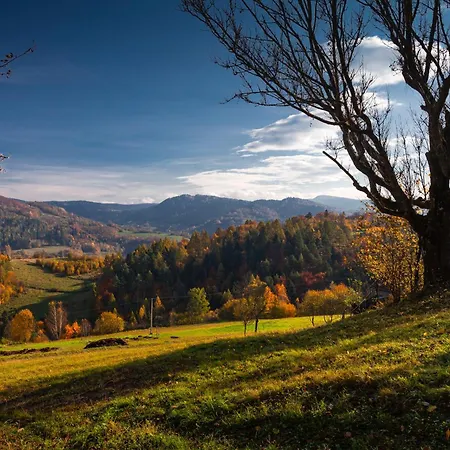 Dom Z Widokiem Chalet Piwniczna-Zdroj