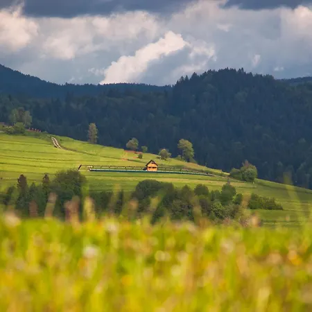 Chalet Dom Z Widokiem Piwniczna-Zdroj