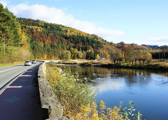 Dom Z Widokiem 木屋 *